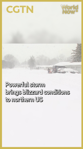 Northern_US_Blizzard_Disrupts_Travel__Impacts_Global_Supply_Chains video poster