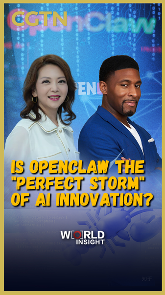 OpenClaw__AI_s__Perfect_Storm__Reshaping_Tech_in_2026 video poster