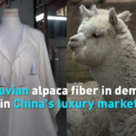 Peruvian_Alpaca_Fiber_Gains_Traction_in_China_s_Luxury_Sector video poster