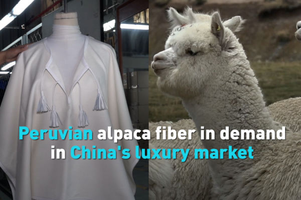 Peruvian_Alpaca_Fiber_Gains_Traction_in_China_s_Luxury_Sector video poster