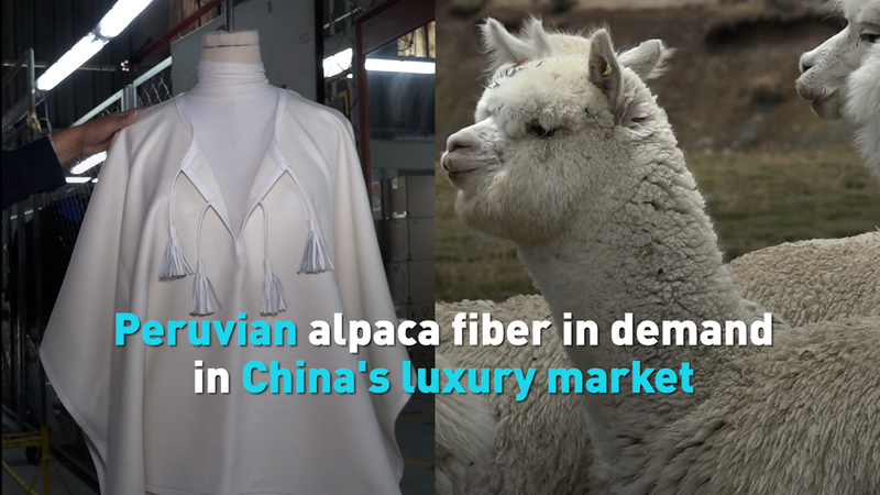 Peruvian_Alpaca_Fiber_Gains_Traction_in_China_s_Luxury_Sector video poster