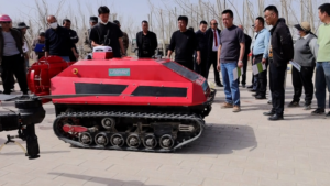 Smart_Farming_Boosts_Jujube_Harvest_in_Xinjiang video poster