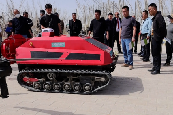 Smart_Farming_Boosts_Jujube_Harvest_in_Xinjiang video poster