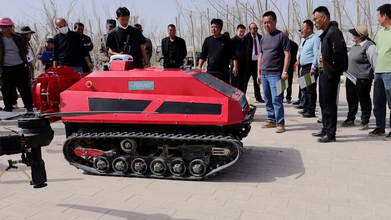 Smart_Farming_Boosts_Jujube_Harvest_in_Xinjiang video poster