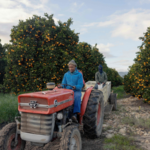 South_Africa_s_Citrus_Exports_Face_Diesel_Shortage_Risks_Ahead_of_2026_Season - Khabar Asia South_Africa_s_Citrus_Exports_Face_Diesel_Shortage_Risks_Ahead_of_2026_Season