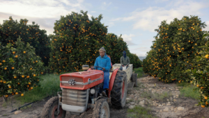 South_Africa_s_Citrus_Exports_Face_Diesel_Shortage_Risks_Ahead_of_2026_Season