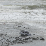 Southeast_Australia_Braces_for_Life_Threatening_Flash_Floods