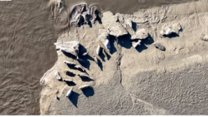 Spotted_Seals_Thrive_in_Liaodong_Bay_as_Ice_Melts_in_2026 video poster