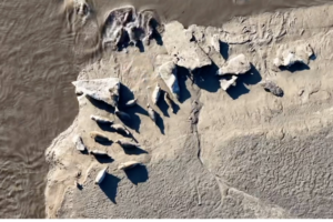 Spotted_Seals_Thrive_in_Liaodong_Bay_as_Ice_Melts_in_2026 video poster