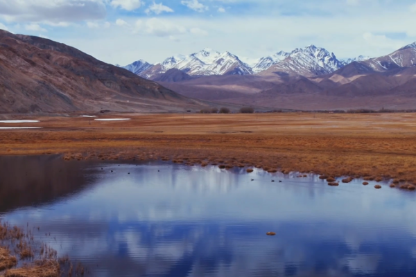 Spring_Awakening__Taheman_Wetland_Thrives_on_Pamir_Plateau video poster