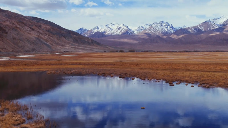 Spring_Awakening__Taheman_Wetland_Thrives_on_Pamir_Plateau video poster