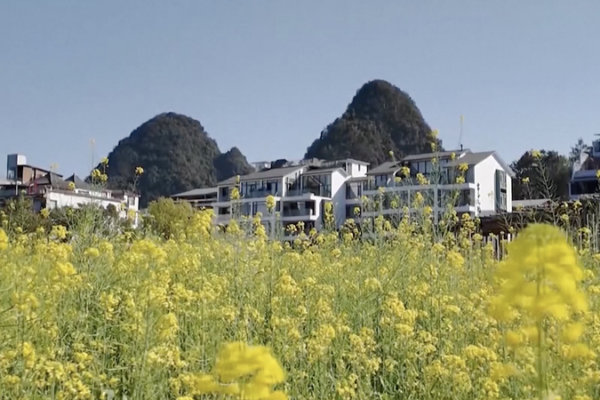 Spring_Blossoms_Transform_China_s_Countryside_into_Tourist_Havens video poster