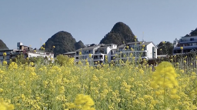 Spring_Blossoms_Transform_China_s_Countryside_into_Tourist_Havens video poster