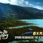 Spring_Revives_Xinjiang_s_Altai_Mountains__A_Natural_Reawakening_poster - Khabar Asia Spring_Revives_Xinjiang_s_Altai_Mountains__A_Natural_Reawakening video poster
