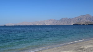 Strait_of_Hormuz_Attack_Leaves_6_Seafarers_Dead_Amid_Escalating_Tensions