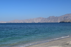 Strait_of_Hormuz_Attack_Leaves_6_Seafarers_Dead_Amid_Escalating_Tensions