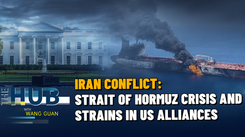 Strait_of_Hormuz_Crisis_Tests_US_Alliances__Global_Energy_Security video poster