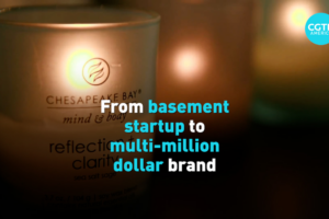 Suzhou_Craftsmen_s_Legacy_Thrives_in_North_America_s_Yiyuan_Garden video poster