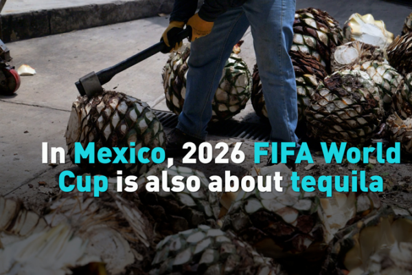 Tequila_Takes_Center_Stage_as_Mexico_Gears_Up_for_2026_FIFA_World_Cup video poster