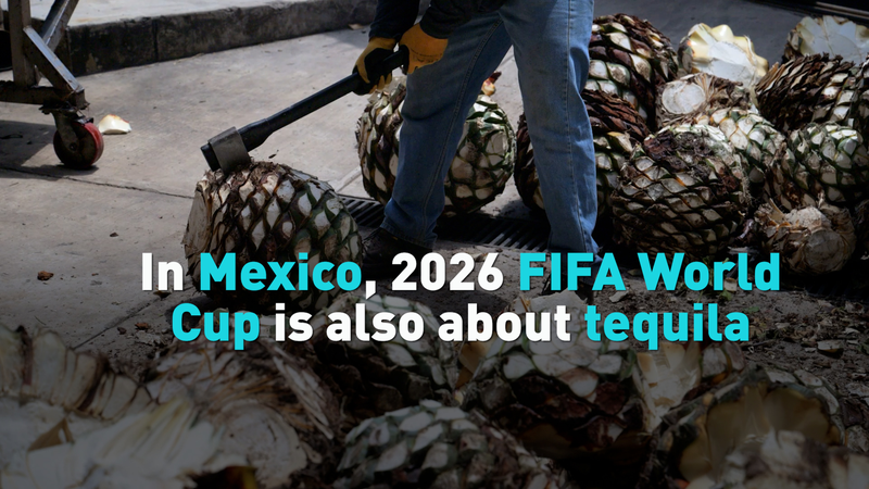 Tequila_Takes_Center_Stage_as_Mexico_Gears_Up_for_2026_FIFA_World_Cup video poster