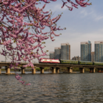 The_Grand_Canal__Bridging_Ancient_Trade_and_Modern_Diplomacy_in_2026