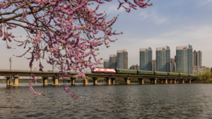 The_Grand_Canal__Bridging_Ancient_Trade_and_Modern_Diplomacy_in_2026