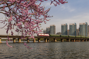 The_Grand_Canal__Bridging_Ancient_Trade_and_Modern_Diplomacy_in_2026