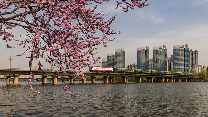 The_Grand_Canal__Bridging_Ancient_Trade_and_Modern_Diplomacy_in_2026