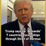 Trump_Calls_for_Multinational_Coalition_to_Secure_Strait_of_Hormuz video poster