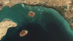 Trump_Issues_48_Hour_Ultimatum_to_Iran_Over_Strait_of_Hormuz