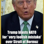 Trump_Slams_NATO_s__Foolish_Mistake__in_Strait_of_Hormuz_Dispute video poster