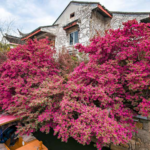 UN_Honors_3_Chinese_Cities_for_Pioneering_Sustainable_Waste_Solutions