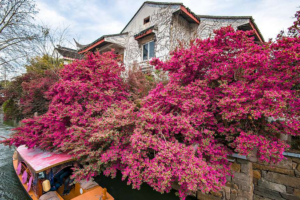 UN_Honors_3_Chinese_Cities_for_Pioneering_Sustainable_Waste_Solutions