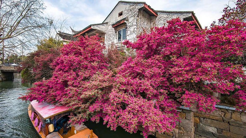 UN_Honors_3_Chinese_Cities_for_Pioneering_Sustainable_Waste_Solutions - Khabar Asia UN_Honors_3_Chinese_Cities_for_Pioneering_Sustainable_Waste_Solutions