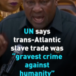 UN_Labels_Trans_Atlantic_Slave_Trade_as__Gravest_Crime_Against_Humanity__in_Historic_Vote video poster
