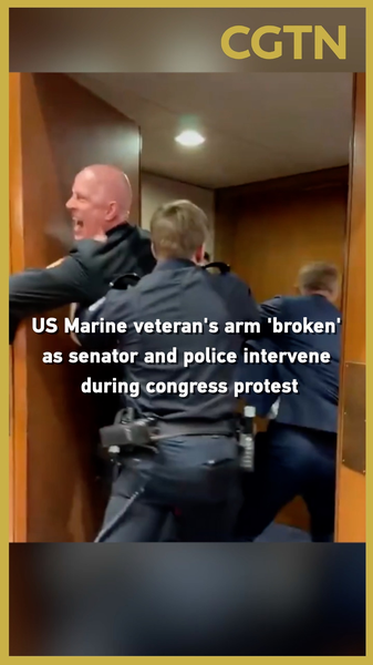 US_Marine_Veteran_Injured_in_Capitol_Protest_Amid_Senate_Hearing_Disruption video poster