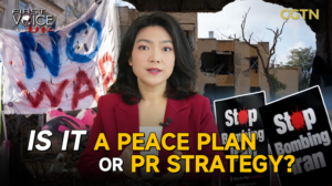 U_S__Proposes_Iran_Peace_Plan__Diplomacy_or_Domestic_Strategy_ video poster