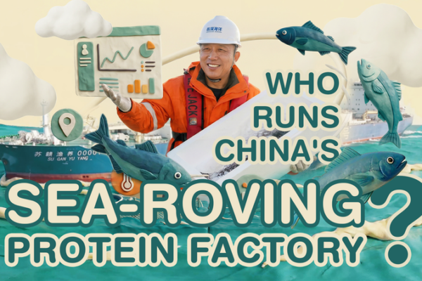 China’s Suhai-1 Revolutionizes Aquaculture With Floating Salmon Farms video poster