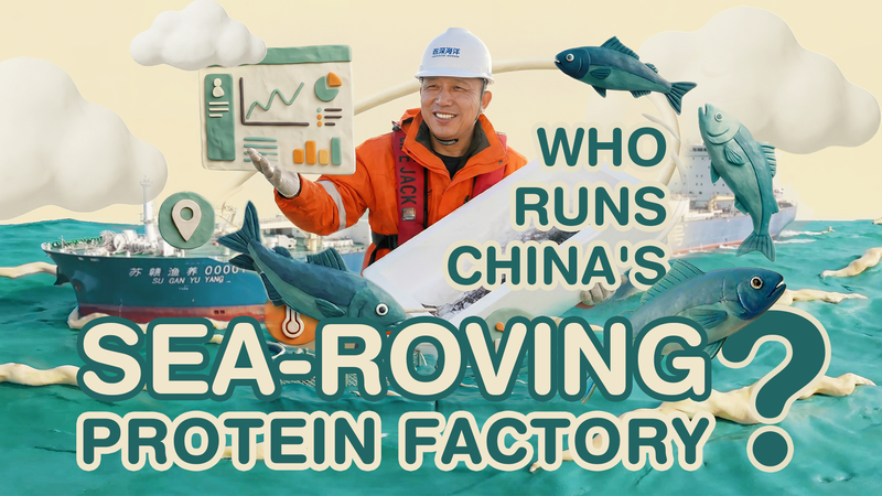 China’s Suhai-1 Revolutionizes Aquaculture With Floating Salmon Farms video poster