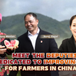 Grassroots Heroes: How China’s Rural Deputies Are Transforming Lives video poster