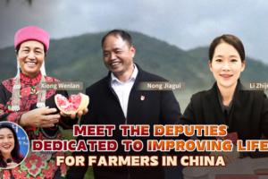 Grassroots Heroes: How China’s Rural Deputies Are Transforming Lives video poster