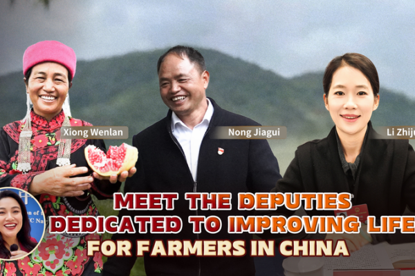 Grassroots Heroes: How China’s Rural Deputies Are Transforming Lives video poster