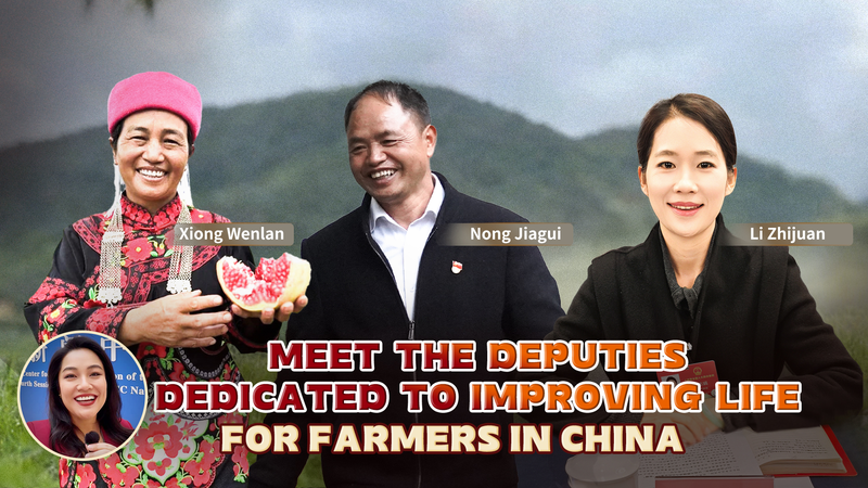Grassroots Heroes: How China’s Rural Deputies Are Transforming Lives video poster