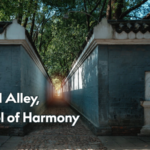 Xi’s 2024 Tongcheng Visit Highlights Timeless Values in Historic Alley video poster