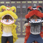 WQJUO41D6UOKXYXOC6IY - Khabar Asia Namibian Traveler Masters Lion Dance in Shunde’s Cultural Heartland video poster