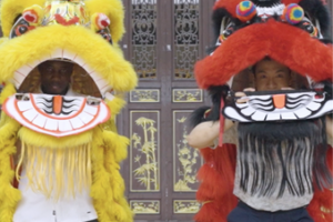 Namibian Traveler Masters Lion Dance in Shunde’s Cultural Heartland video poster