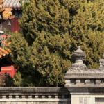 Wanshou_Temple__Beijing_s_Fusion_of_Ming_Qing_Grandeur_and_Baroque_Splendor