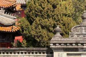 Wanshou_Temple__Beijing_s_Fusion_of_Ming_Qing_Grandeur_and_Baroque_Splendor