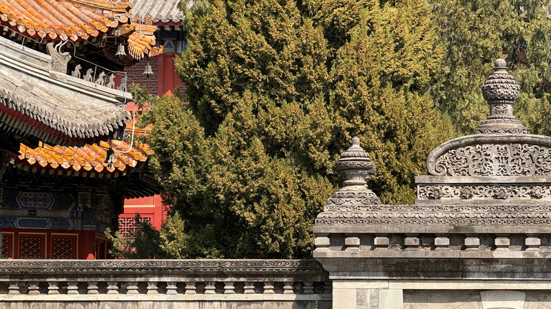 Wanshou_Temple__Beijing_s_Fusion_of_Ming_Qing_Grandeur_and_Baroque_Splendor