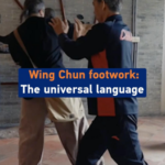 Wing_Chun_Footwork__Bridging_Martial_Arts_Traditions_Worldwide video poster
